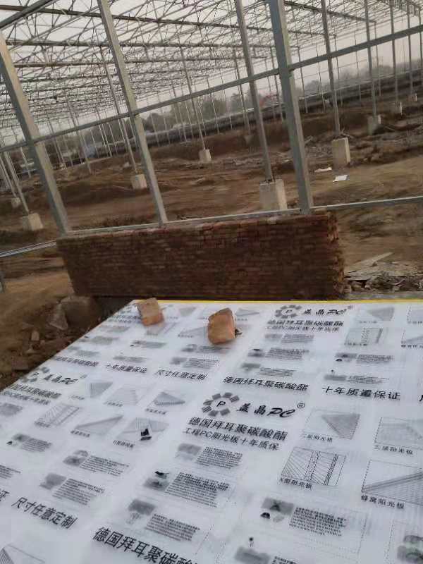 陜西陽(yáng)光板廠(chǎng)家 陜西陽(yáng)光板廠(chǎng)家